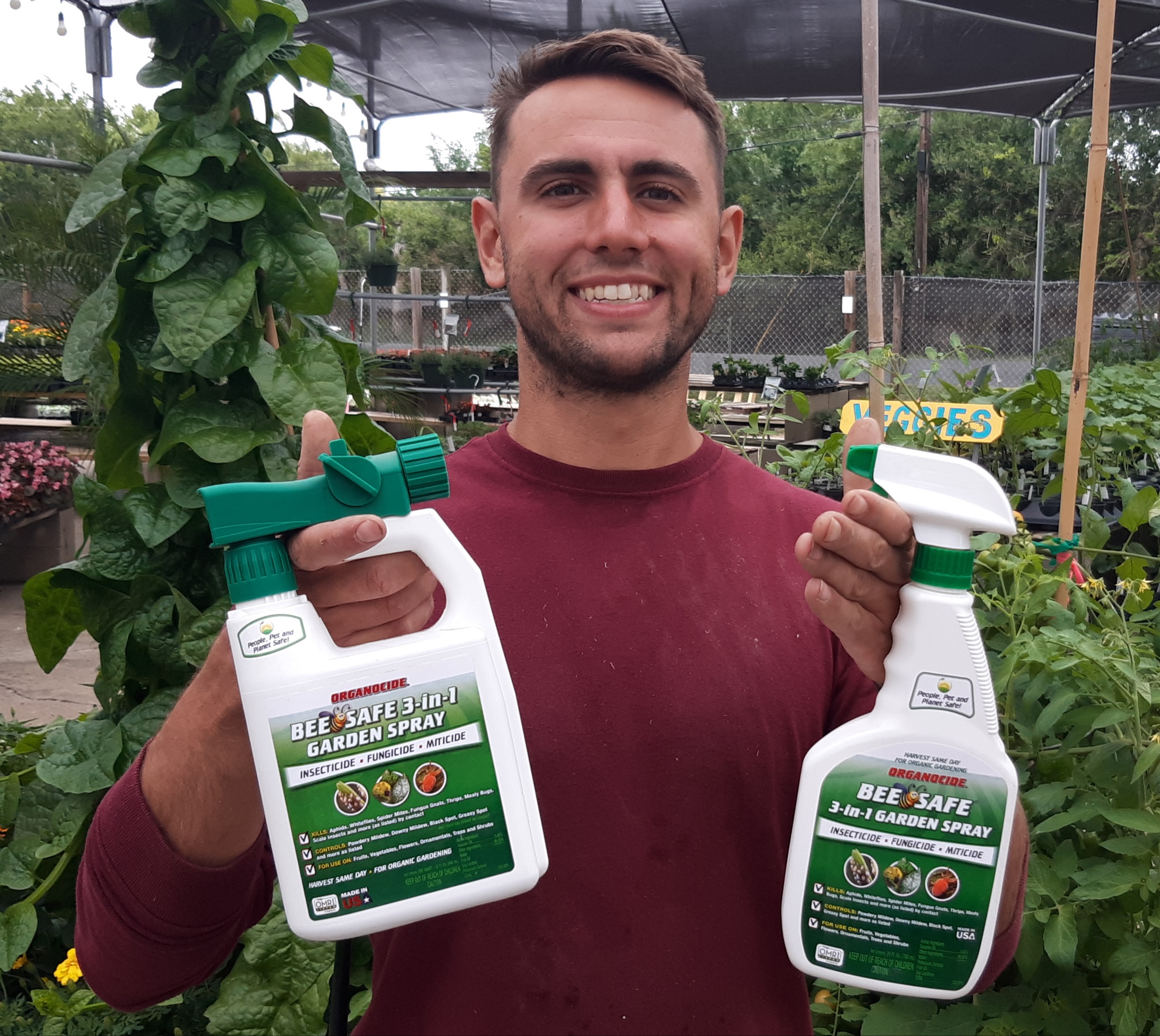 Control Garden Pests AND Keep Bees Safe The Bend Magazine