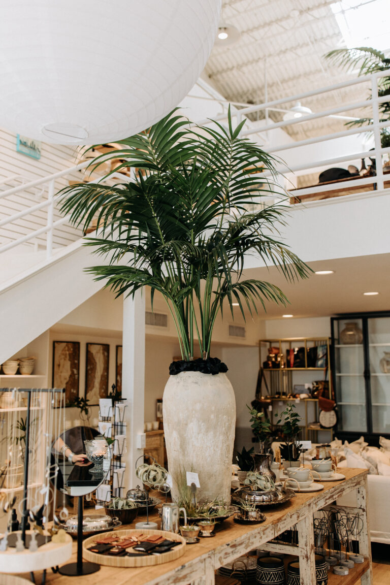 Wildflowers’ Wondrous New Space in Downtown Corpus Christi