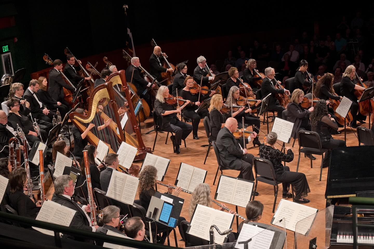 その他 FLOWERS Orchestra concert Innocent Grey その他 FLOWERS