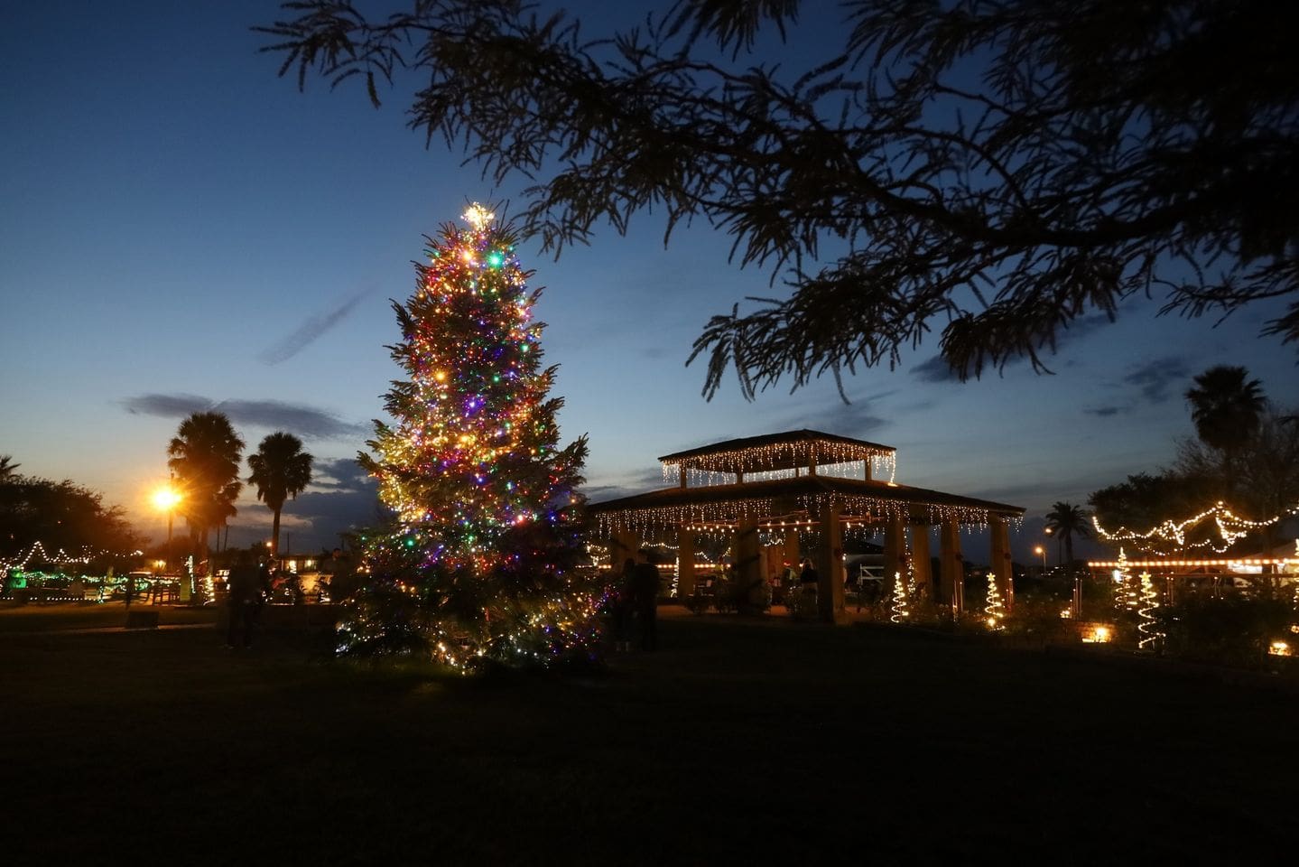 A decorated Christmas tree provided by Gill Garden Center stands tall adorned with colorful lights.